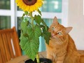 🌻❤🌻👍🏻🌻💋🌻