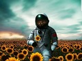 🌻❤🌻❤🌻❤🌻❤