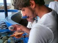 Erizo de mar #urchin #sea #aquarium #me #igersvenezuela #instamoments #star #beach