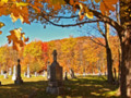 Cemetery in the Fall ~ Autumn Scenery ~ Peak Leaf Colors
