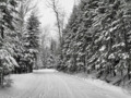 Snow Covered Road in a Winter Snowstorm Landscape ~ Nature Outdoors 7