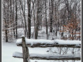Snow Covered Fence in a Winter Snowstorm Landscape ~ Nature Outdoors