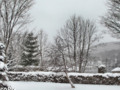 Snow Covered Park in a Winter Snowstorm Landscape ~ Nature Outdoors