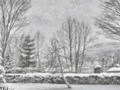 Snow Covered Park in a Winter Snowstorm Landscape ~ Nature Outdoors 14