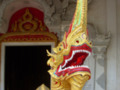 Naga - Buddhist temple serpent guardian