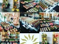 Bahía Principe Grand Punta Cana. Buffete noche de gala, chocolatería, colores, sabores, texturas nuestra nueva puesta en escena. Saludos desde Bavaro, Punta Cana, Republica Dominicana. Chef Juan Franco. +18094842368