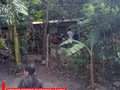 #INTERNACIONAL  NIÑA DECIDE QUITARSE LA VIDA  Como Lourded Suyapa Zuniga fue identificada la niña de tan solo 12 años de edad que decidió quitarse la vida luego que su familia le quitara su teléfono, al tener un episodio de ira por perder un juego y romperlo, "les importa más el teléfono que mi vida", expresó la menor.  La menor dejó una carta a sus familiares antes de suicidarse colgando una cuerda en el techo de su cuarto, en su casa en el barrio El Zapote del municipio de Ilama, Santa Bárbara, al occidente de Honduras: "Adiós para siempre. Perdón", así se despidió la niña Lourdes Suyapa Zúniga, antes de suicidarse el día del cumpleaños de su papá y de una tía.  En otro fragmento de la carta la niña pidió perdón a sus hermanos por no haberles dejado la tablet a ellos "porque me pegaban" e indico que se lo heredaba a su mejor amiga, de nombre Pamela.  "Perdón, perdón perdón, mil veces más", reitera la niña al indicar el final de su carta con dibujos alusivos a la forma en la que decidió acabar con su vida.  #Niña #Suicidio #Hondura #Telefono