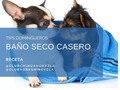 *Iniciamos los tips Domingueros:* Baño en Seco Casero, Económico, que repele pulgas, garrapatas y mal olor. Ingredientes:  1) 1/2 taza de Maizena o fécula de maíz 2) 1/2 taza de Bicarbonato de sodio  3) 3 gotas de Aceite de lavanda (en polvo también una cucharadita)  *Preparacion* Se mezclan todos los ingredientes en un recipiente de vidrio y aplicarlo en el pelaje de su mascota y con un cepillo los vas dispersando por todo su cuerpo, evitando las mucosas es decir no aplicar alrededor de la boca, nariz y ojos para evitar alguna irritación.🐶🐾 @clubyorkshirevzla  @clubchihuahuavzla