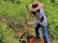 Hace aproximadamente un año solicité a la @carderrisaralda donación de árboles. Se sembraron con la ayuda de la Policía Ambiental. Hace más de dos semanas no llueve así que hoy los limpiamos y los regamos. Ya solicité también el apoyo de @reddearbolesbog a la que ya le firmé el compromiso y donen, asesoren y guíen para cuidar más nuestro nacimiento de agua. Invito a mis amigos motociclistas y endureros que borren un poquito su HUELLA DE CARBONO sembrando y apoyando a las organizaciones o personas que hacen está labor. Y los que van a sembrar al campo que vayan y le den vuelta a su árbol. Cuidelo! #reddearboles #arborizar #risaralda