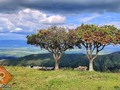 Me encanta! Este será el sitio de despegue de mi nuevo atractivo turístico en el Norte del Valle.