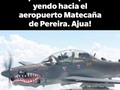 Me pareció ver un lindo pajarito por los cielos de Pereira