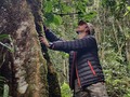 Gracias Señor Árbol. Gracias vida!