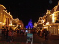 Disney's Walk of Lights