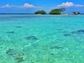 Muy Buenos días ¿Quien amanece con ganas de ir a la playa ?  ¿Te gustaría estar aquí?   El próximo Jueves 23 de Junio salimos a Morrocoy para disfrutar el Viernes 24 de Junio en Cayo Sur o Cayo Pescadores, tú elijes y con la Parada Mágica Bajo 360°  Consulta ya al 0412-0481298  #ChuoTours #TuAgenciaDeViajes #TurismoNacional #morrocoy #cayosur #cayopescadores