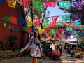 México es color!! ❤️🧡💛💚💙