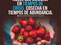 Que pasen linda noche !!! Hoy más que nunca Dando gracias a mi Dios por todo lo que tengo a mi lado y feliz de estar cosechando lo que e sembrado !!! No esperes residir nunca solo da sin esperar nada de los demás y lo demás solo va a venir a tu vida !!! #Agradecida #EstarEnCasa #Emprendedora #Pasion #LatinosEmprendedores
