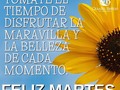 Cada martes es una nueva oportunidad para conseguir un nuevo logro.🌼🌼 . . . . . . #CreeEnTi #Agradecido #valiente #SoyCapaz #networking #Emprendedor #Metas #Crecimiento #Liderazgo #Oportunidad #Empresaria #Mama #Sipuedes #SeSaludable #GuiaDeNutricion #LatinosEmprendedores #CeoLatinosEmprendedores