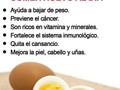 Sabias que ?  10 beneficios del huevo:  🌾Alto valor vitamínico y mineral 🌾Es rico en proteínas 🌾Aporta Vitaminas B 🌾Aporta vitamina D 🌾Aporta minerales 🌾Disminuye el riesgo de enfermedades 🌾Aporta grasas instaurabas 🌾Es aliado en dietas para bajar de peso . . . . #salud #latinosemprendedores