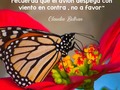 Feliz Viernes 🦋  Aunque nadie puede volver atrás y hacer un nuevo comienzo, cualquiera puede comenzar a partir de ahora y crear un nuevo final. ♥️  No permitas que nada ni nadie te corte tu vuelo 🦅 vamos y ve por lo que te mereces 💪🏼 . . . . #mastermindmimguru #Imparables #liderazgo #evolucion #OtroNivel #accion #CrecimientoPersonal