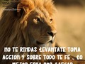 -NO TE RINDAS- si el camino ante ti parece largo y dificil, solamente recuerda la meta que te motivó a comenzar!!! . . . #fuerza #motivacion