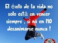 Buenos días !!!☀️  Nunca te dez por vencido respira ando y ve siempre adelante !!  Te mando un abrazo  Con cariño  Claudia Beltran ♥️