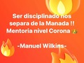@manuelwilkinss
