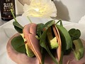 Sleep N Lose 🎄  Hora de mi Cena Taquitos saludables !   Las cápsulas Sleep N Lose está formulado para brindarte una mejor calidad de sueño y es el complemento perfecto para tu programa de pérdida de peso.  Uno de mis favoritos !!  #BuenasNoches