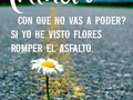 🌻Mantente enraizado en la confianza de que el éxito es inevitable si continúas haciendo un esfuerzo concertado para lograrlo.  🌻No te detengas y ten Creencia ! . . . .  #LiderandoConAmor #emprepenur #vision #crecimiento #valiente #Tenaz #lucha #perseverancia #metas #vamospormas #NoDaysOf #VidaDivina #MlmGuru #Imparables #FabricaDeDiamantes