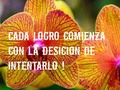 ☀️ Inténtalo ☀️  Trabaja por tus suenos, y no te quedes dormido, pues tarde o temprano lo vas a  lograr:  Te mereces el éxito todo lo bonito ☀️ . . . .  #LiderandoConAmor #emprepenur #vision #crecimiento #valiente #Tenaz #lucha #perseverancia #metas #vamospormas #NoDaysOf #VidaDivina #MlmGuru #Imparable #fabricadediamantes #mentescreativas #yosoydigno #yosoycapaz #yomelomerezco
