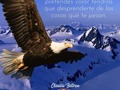 Feliz Sábado !!! 💫  No lo dudes ni por un momento; eres fuerte y especial.  Recuerda entrénate a tus miedos y podrás dominar a tus enemigos. . . . . #mcplan2023 #etapadeconstruccion #imparables #VidaDivina #vivesano #LiderandoConAmor #entrepenur #liderazgo