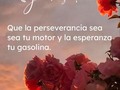 Buenos días ☀️   Mantente enraizado en la confianza de que el éxito es inevitable si continúas haciendo un esfuerzo concertado para lograrlo. . . . . #vivepróspero #vivesano #vivefeliz #mcplan2023 #LiderandoConAmor #trabajoenequipo #logro #determinacion