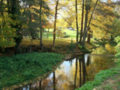 Golden river in autumn