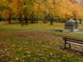 a bench in front of prunus in autumn