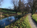 Sunny light in a river with ducks