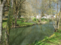 Sweet light on a tree river with dark cloud