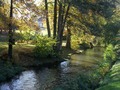 Autumn light on a river