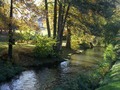 river in spring - rivière au printemps