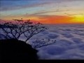 Regalos del Cielo... Apreciados por nuestra Alma...  . ¿Acaso no es nuestra Esencia Divina parte y todo de esa misma creación?...  . Cuando la contemplamos y apreciados maravillándonos... ¿cuál es nuestro sentir?... . Cuando prestamos Atención Plena se expande nuestro pecho, se siente el abrazo amoroso de la vida misma, los latidos del corazon se escuchan en un eco armonizado con el universo entero... nos acompañan en cada segundo... . Nos perdemos cuando dejamos de mirar mas alla... Nos perdemos cuando dejamos de escuchar mas alla...  . Buen camino hoy AGRADECIDOS... Bajando la cabeza para “mirarlo mejor”... . #camino #reconocer #propioencuentro #regresoacasa #abrazo #si #amenalcamino #hoy #lavidaesunregalo #instante #sacralidad