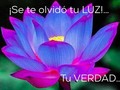 ¡Se te olvidó QUIÉN ERES! . ¡Se te olvido que eras antes de “entrar en la materia”! . ¡Se te olvido que HABITAS en un cuerpo! . !Se te olvidó que te humanizaste y te quedaste creyendo ser tan solo un humano! . Se te olvido que te mentalizaste, te volviste mental y te quedaste preso en los códigos mentales que construiste! . ¡Se te olvido tu origen más allá de esta tierra! . ¡Se te olvido tu verdadera realidad invisible e intangible a los ojos humanos!  . ¡SECTE OLVIDO TU GRANDEZA! . ¡Se te olvido que tu cuerpo es “tu estancia temporal” y tu ERES ETERNO, mas que el cuerpo! . ¡Se te olvido tu Luz!  . ¿El camino? DESPERTAR DEL SUEÑO Y RETOMAR TU verdadera realidad Existencia, Consciencia, Dicha… ¡ESENCIA DIVINA!… Aprendiendo a recolectarte con tu verdadero SER… .  . 💖🔥💖🔥💖 ¡Te acompaño en tu transformación! Sesiones terapéuticas, acompañamiento, asesorías; presencial o en linea,  contáctame +1(954)7786089 .  @complecionysanacion complecionysanacion@gmail.com - - - - - - - - - - - - - - - -   #consciencia #desarrollopersonal #transformacion #expansion #conscienciauniversal #transmutarenergia #conexionespiritual #crecimientopersonalyespiritual #acompañamientoemocional  #sanacioncuantica
