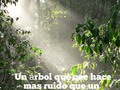 METAFORAS - METAFORAS  Si fueras un árbol,  ¿Serías de los que hacen ruido de su camino?… Aquellos que viven en referencia externa???… Buscando que se les de… O, ¿Serias de los que caminan en silencio?… Aquellos que viven en referencia interna???… Encontrando y accionando… . 🔥💖🔥 . Sesiones terapéuticas, acompañamiento, asesorías; presencial o en linea, grupales o individuales. .  @complecionysanacion complecionysanacion@gmail.com - - - - - - - - - - - - - - - -  #consciencia #desarrollopersonal #transformacion #expansion #conscienciauniversal #transmutarenergia #conexionespiritual #crecimientopersonalyespiritual #acompañamientoemocional  #sanacioncuantica   .  .