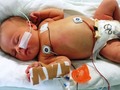 ● My Thoughts About Genetic Engineering and Making Designer Babies