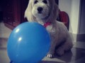 Gente!!! ¿Sabián que mi debilidad son los globos? 😁😋😁