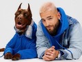 Hoodies,Marca Ciudad,Casos de Éxito, Algodón Perchado,Importados.Cerrados con Capota Estampados.Jóvenes/Pedidos WhatsApp 3114810916.