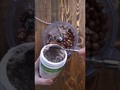Μπάρες Πρωτεΐνης με F1 Smooth Chocolate - Γαβριήλ Νικολαΐδης