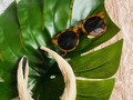 Accesories.... sunglasses... 20$ Diadema.... 8$ . #moda2020#diadema #accesorias#coikteviste#fashionstyleblogs