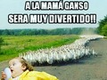 COMEDIAGUATE EN FACEBOOK)#guatemalteco #guatelinda #chapines #guatemala #guatemalteca #guategram #chapinas #502 #guate #instaguate #quepeladoguate #quechileroguate #quetzal #therealguatemala #guatemalan #chapin #instaguatemaya #huntgramguatemala #elmaizgt #instaguatemaya