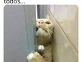 Perdón