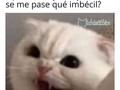 Prefiero aprender a jugar bádminton