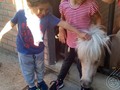 Nuestros niños entran en contacto con los animales de la granja y disfrutan de nuestras instalaciones campestres . . . . . . . . . . #Cucuta #Vacaciones #VacacionesRecreativas #RecreacionInfantil #Recreacion #Diversion #ActividadesLudicas #Aprendizaje
