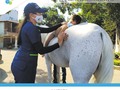 Hemos desarrollado la combinación perfecta entre, compromiso, profesionalismo y el apoyo fundamental de los padres en cada proceso. Junto a estos hermosos animales (los caballos) se han transformado vidas para mejor. ⠀ ⠀ ⠀ Comunícate al 📲+57 304 3783915 y pregunta por nuestro Servicio!!!⠀⠀⠀⠀ ⠀⠀⠀ @erika_melo09 ⠀⠀⠀⠀⠀ @dorismelo_1507 ⠀⠀⠀⠀⠀ @ronaldarake14 @sindyvergel ⠀⠀⠀ ⠀⠀⠀ ⠀⠀⠀ ⠀⠀⠀ ⠀⠀⠀ ⠀⠀⠀⠀ ⠀⠀⠀⠀⠀ #reinicio2020⠀⠀⠀⠀⠀ #volvemos⠀⠀⠀⠀⠀⠀ #iniciodeactividades ⠀⠀⠀⠀⠀⠀ #terapias ⠀⠀⠀⠀⠀ #fisioterapia ⠀⠀⠀⠀⠀ #terapiaocupacional ⠀⠀⠀⠀⠀ #fonoaudiologia⠀⠀⠀⠀⠀ #psicologia⠀⠀⠀⠀⠀ #pedagogia⠀⠀⠀⠀⠀ #equinoterapia⠀⠀⠀⠀⠀ #hidroterapia⠀⠀⠀⠀⠀ #cucuta⠀⠀⠀⠀⠀ #villadelrosario⠀⠀⠀⠀⠀ #lospatios⠀⠀⠀⠀⠀ #colombia🇨🇴